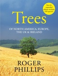 Cover: Trees - Macmillan