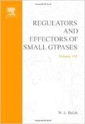 Cover: Regulators and Effectors of Small GTPases, Part F: Ras Family I: Volume 332 - Academic Press