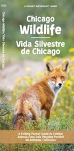 Cover: Chicago Wildlife/Vida Silvestre de Chicago - Waterford Press Ltd