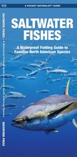 Cover: Saltwater Fishes, 2nd Ed - Waterford Press Ltd