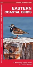 Cover: Eastern Coastal Birds, 2nd Ed - Waterford Press Ltd