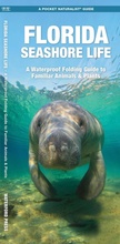 Cover: Florida Seashore Life, 2nd Ed - Waterford Press Ltd
