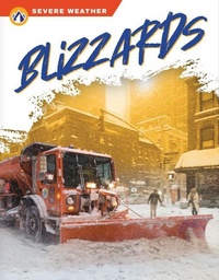 Enlarge image Cover: Blizzards - Apex