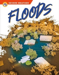 Enlarge image Cover: Floods - Apex