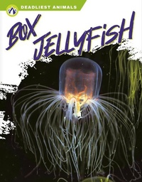 Enlarge image Cover: Box Jellyfish - Apex