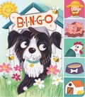 Cover: B-I-N-G-O - Capstone Editions