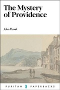 Cover: The Mystery of Providence - Banner of Truth Trust