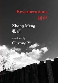 Abbildung von: Reverberations - Puncher and Wattmann