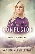 Cover: Boulevard of Confusion - Wild Heart Books
