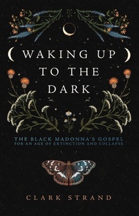 Enlarge image Cover: Waking Up to the Dark - Monkfish Book Publishing Company