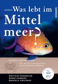 Cover: Was lebt im Mittelmeer? - Kosmos