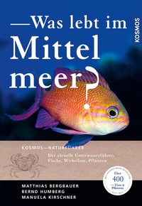 Abbildung von: Was lebt im Mittelmeer? - Kosmos