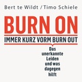 Cover: Burn On: Immer kurz vorm Burn Out - Hierax Medien