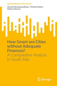 Enlarge image Cover: How Smart are Cities without Adequate Finances? - Springer