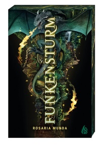 Enlarge image Cover: Funkensturm - Arctis