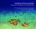 Cover: Marine Microworlds - Pfeil, F