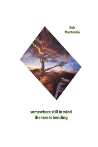 Enlarge image Cover: Somewhere Still in Wind the Tree is Bending - Silver Bow Publishing