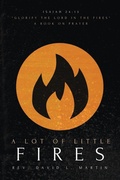 Cover: A Lot Of Little Fires - David Martin