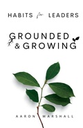 Cover: Habits for Leaders, Grounded and Growing - Horizon Chasers Publishing