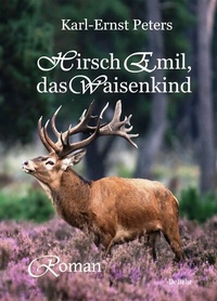 Abbildung von: Hirsch Emil, das Waisenkind - Roman - Verlag DeBehr