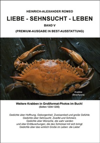 Abbildung von: Liebe - Sehnsucht - Leben - OsirisDruck