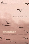 Cover: Shimmer - Edinburgh University Press