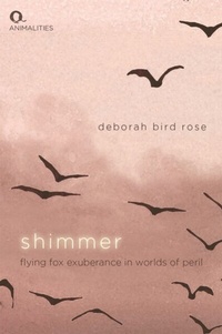 Enlarge image Cover: Shimmer - Edinburgh University Press