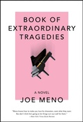 Cover: Book of Extraordinary Tragedies - Akashic Books