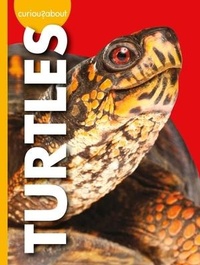 Abbildung von: Curious about Turtles - Amicus