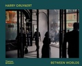 Cover: Harry Gruyaert: Between Worlds - Thames & Hudson Ltd