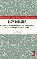 Cover: Slow Disaster - Routledge