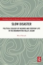 Cover: Slow Disaster - Routledge