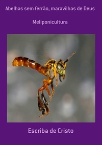 Abbildung von: MELIPONAS - MARAVILHAS DE DEUS - Bibliomundi