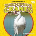 Cover: Whooping Cranes - Bearcub Books