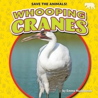 Enlarge image Cover: Whooping Cranes - Bearcub Books