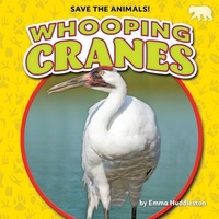 Enlarge image Cover: Whooping Cranes - Bearcub Books