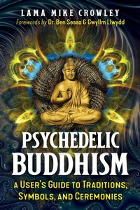 Enlarge image Cover: Psychedelic Buddhism - Park Street Press,U.S.