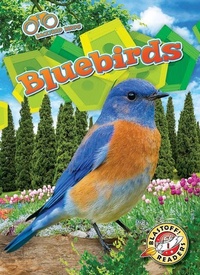 Enlarge image Cover: Bluebirds - Blastoff! Readers