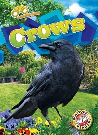 Enlarge image Cover: Crows - Blastoff! Readers