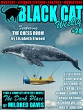 Cover: Black Cat Weekly #28 - Wildside Press