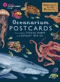 Cover: Oceanarium Postcards - Big Picture Press