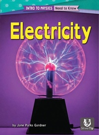 Enlarge image Cover: Electricity - Silvertip Books