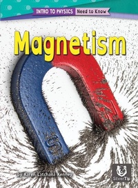 Enlarge image Cover: Magnetism - Silvertip Books