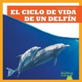 Cover: El Ciclo de Vida de Un Delfin (a Dolphin's Life Cycle) - Bullfrog Books