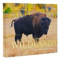 Cover: Conserving America's Wild Lands - Rizzoli International Publications