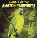 Cover: Animals of the Amazon Rainforest - Raintree