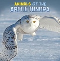 Cover: Animals of the Arctic Tundra - Raintree