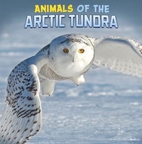Enlarge image Cover: Animals of the Arctic Tundra - Raintree