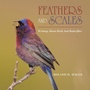 Cover: Feathers and Scales - Xlibris Us
