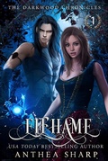 Cover: Elfhame: A Dark Elf Fairytale (The Darkwood Chronicles, #1) - The Darkwood Chronicles